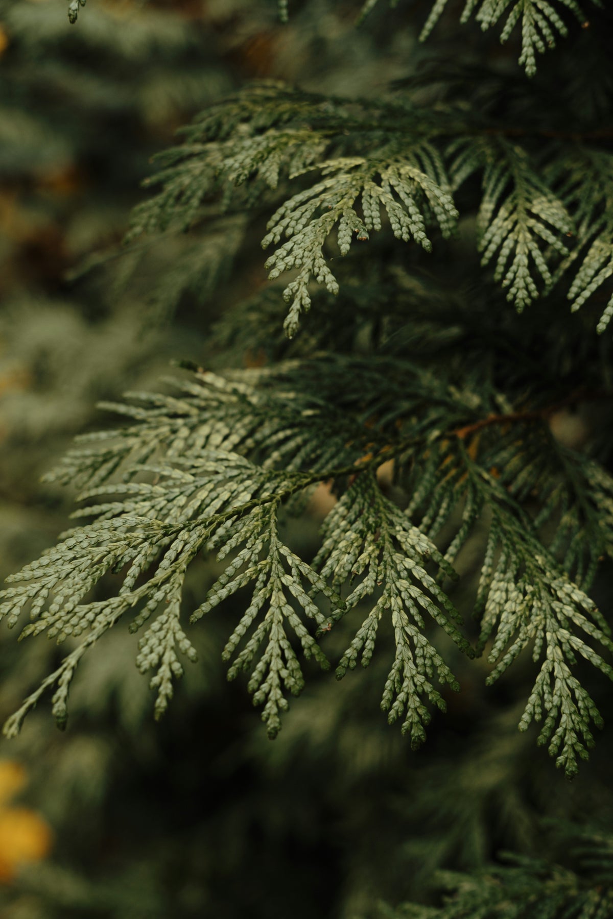 Blog Post 3